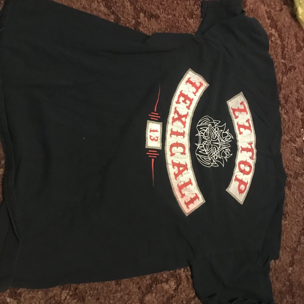 ZZ TOP 2013 concert shirt